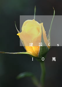 建設(shè)信用卡欠10萬(建行信用卡10萬需要什么條件)