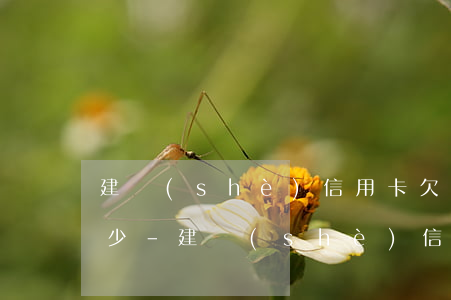 建設(shè)信用卡欠3000滯納金多少-建設(shè)信用卡欠3000滯納金多少錢