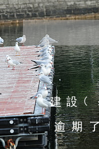 建設(shè)信用卡臨時(shí)額度逾期了(建設(shè)銀行臨時(shí)額度有寬限期嗎)