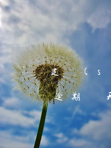 建設(shè)信用卡臨時(shí)額度逾期幾天 建設(shè)信用卡5000逾期半年