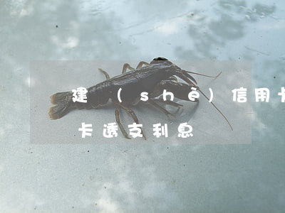 建設(shè)信用卡透支利息怎么算(信用卡透支利息)