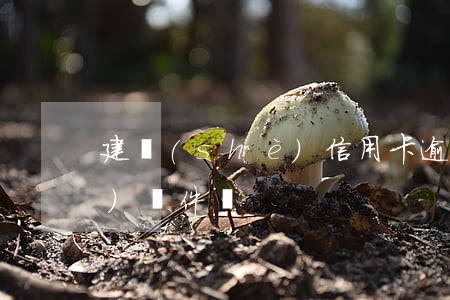 建設(shè)信用卡逾期110發(fā)郵件來