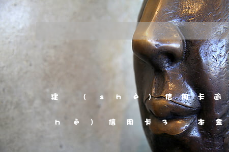 建設(shè)信用卡逾期1萬-建設(shè)信用卡3萬本金逾期兩年