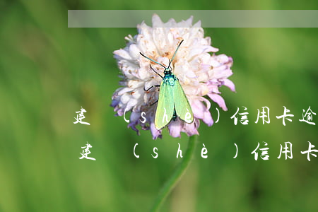 建設(shè)信用卡逾期一個(gè)月(建設(shè)信用卡逾期一個(gè)月會(huì)怎么樣)