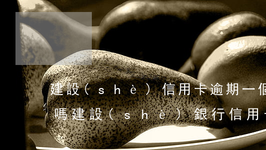 建設(shè)信用卡逾期一個月影響征信嗎(建設(shè)銀行信用卡逾期多久會上征信)