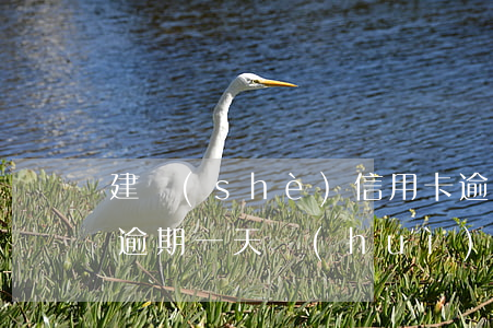 建設(shè)信用卡逾期一天影響征信嗎(逾期一天會(huì)影響信用嗎)