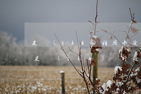 建設(shè)信用卡逾期一年多會怎么樣 建設(shè)銀行逾期過,以后還可以辦理信用卡嗎