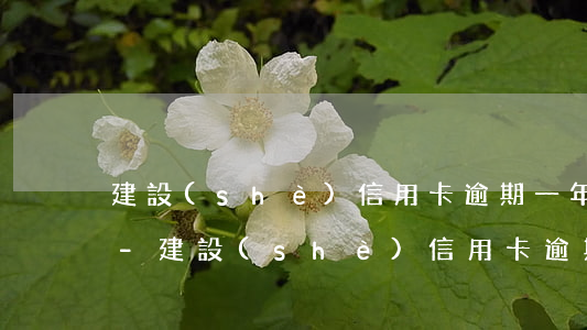 建設(shè)信用卡逾期一年還清能用嗎-建設(shè)信用卡逾期一年還清能用嗎現(xiàn)在