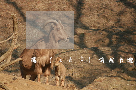 建設(shè)信用卡逾期一年還清能用嗎