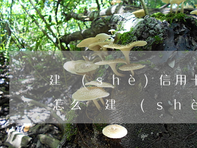 建設(shè)信用卡逾期三個(gè)月怎么辦(建設(shè)銀行逾期過(guò),以后還可以辦理信用卡嗎)