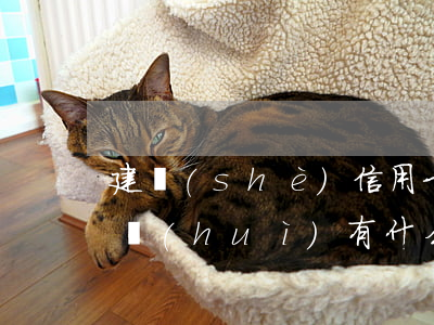 建設(shè)信用卡逾期三個(gè)月會(huì)有什么后果-建設(shè)信用卡逾期三個(gè)月會(huì)有什么后果呢