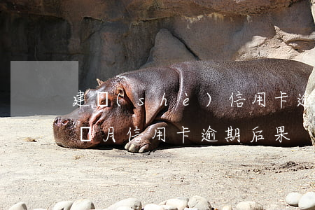 建設(shè)信用卡逾期三個月被上門(三個月信用卡逾期后果)