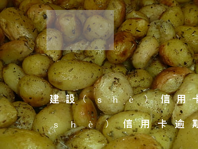 建設(shè)信用卡逾期上門走訪(建設(shè)信用卡逾期上門調(diào)查)