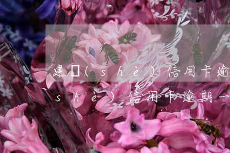 建設(shè)信用卡逾期了10天(建設(shè)信用卡逾期一天會(huì)怎樣)