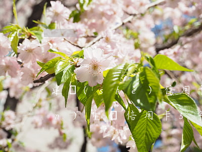 建設(shè)信用卡逾期了5天嚴(yán)重嗎 信用卡5年內(nèi)有逾期