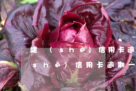 建設(shè)信用卡逾期了60天(建設(shè)信用卡逾期一兩天)