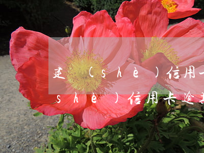 建設(shè)信用卡逾期了一年多(建設(shè)信用卡逾期一個(gè)月)