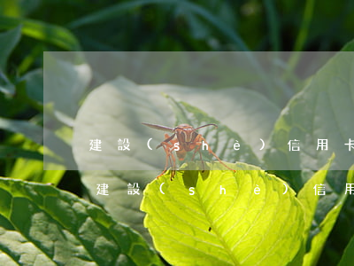 建設(shè)信用卡逾期五萬(wàn)(建設(shè)信用卡逾期五萬(wàn))