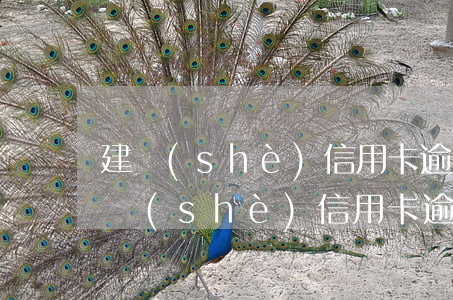 建設(shè)信用卡逾期兩月怎么解決(建設(shè)信用卡逾期兩月怎么解決方法)
