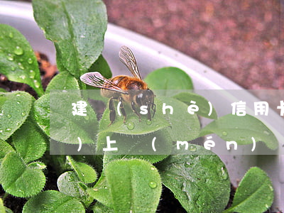 建設(shè)信用卡逾期六千會(huì)上門(mén)嗎(建設(shè)信用卡逾期六千會(huì)上門(mén)嗎貼吧)