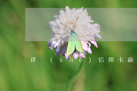 建設(shè)信用卡逾期六年了