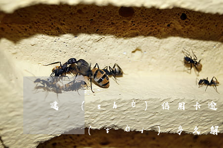 建設(shè)信用卡逾期凍結(jié)狀態(tài)多久解除