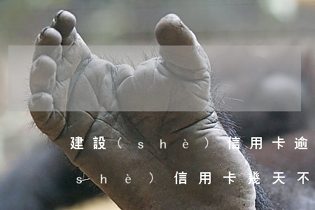 建設(shè)信用卡逾期利息2年(建設(shè)信用卡幾天不還算逾期)