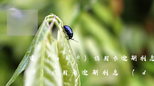 建設(shè)信用卡逾期利息(建設(shè)信用卡逾期利息達(dá)到了3000)
