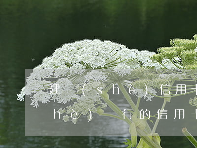 建設(shè)信用卡逾期十幾天(建設(shè)銀行的信用卡逾期一天會(huì)有不良記錄)