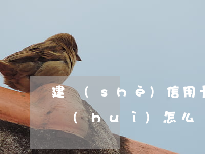 建設(shè)信用卡逾期半個(gè)月會(huì)怎么樣(建設(shè)銀行的信用卡逾期一天會(huì)有不良記錄)