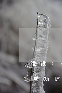 建設(shè)信用卡逾期協(xié)商成功(建行信用卡逾期兩個(gè)月協(xié)商不行怎么辦)