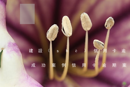 建設(shè)信用卡逾期協(xié)商成功案例(信用卡 逾期案例)