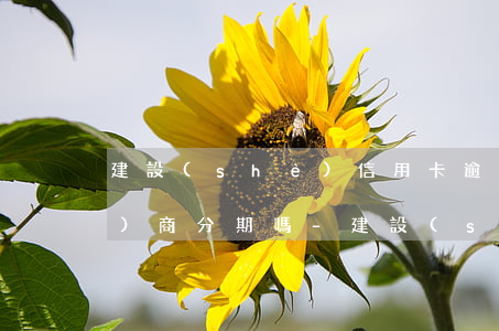 建設(shè)信用卡逾期可以協(xié)商分期嗎-建設(shè)信用卡逾期可以協(xié)商分期嗎?