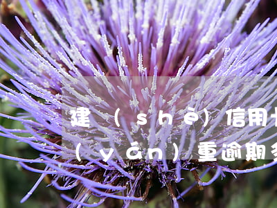 建設(shè)信用卡逾期可以逾期多久(嚴(yán)重逾期多久能申請(qǐng)信用卡)