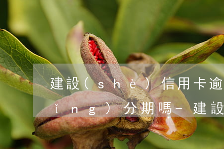 建設(shè)信用卡逾期后可以申請(qǐng)分期嗎-建設(shè)信用卡逾期后可以申請(qǐng)分期嗎安全嗎