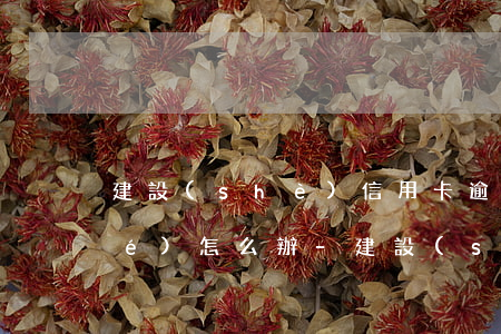 建設(shè)信用卡逾期后被凍結(jié)怎么辦-建設(shè)信用卡逾期后被凍結(jié)怎么辦理