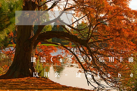 建設(shè)信用卡逾期后還款后卡還可以用么-建設(shè)信用卡逾期后還款后卡還可以用么