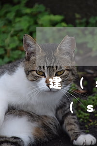 建設(shè)信用卡逾期幾天有影響嗎 建設(shè)銀行逾期過,以后還可以辦理信用卡嗎