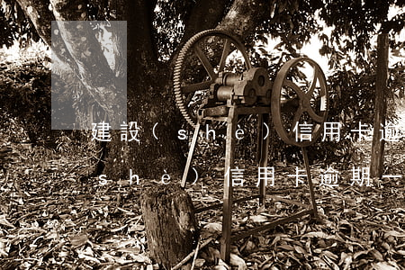 建設(shè)信用卡逾期怎么處理(建設(shè)信用卡逾期一天會(huì)怎樣)