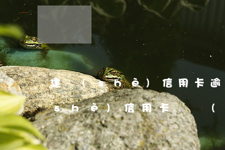 建設(shè)信用卡逾期怎么解凍(建設(shè)信用卡凍結(jié)了多久解凍)