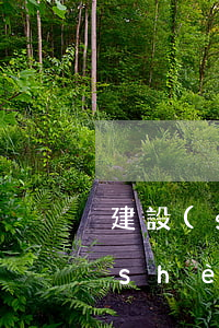 建設(shè)信用卡逾期扣費標準(建設(shè)銀行信用卡逾期怎么收費)