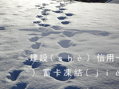 建設(shè)信用卡逾期把我儲(chǔ)蓄卡凍結(jié)了(建設(shè)信用卡逾期把我儲(chǔ)蓄卡凍結(jié)了還能用嗎)