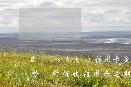 建設(shè)信用卡逾期是哪一方催收-替銀行催收信用卡逾期的公司合法嗎