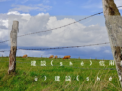 建設(shè)信用卡逾期是多久恢復(fù)(建設(shè)信用卡5000逾期半年)