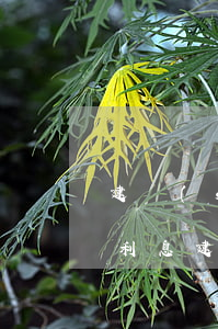 建設(shè)信用卡逾期會(huì)有利息(建設(shè)信用卡逾期一天有什么影響)