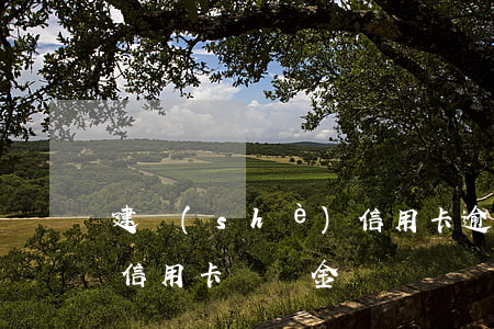 建設(shè)信用卡逾期秒扣工資卡(建行信用卡 違約金)