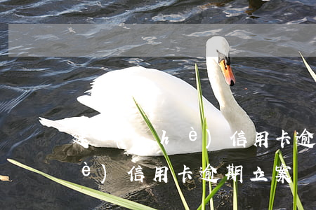 建設(shè)信用卡逾期立案(建設(shè)信用卡逾期立案)
