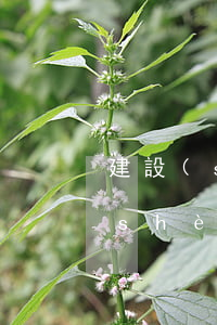 建設(shè)信用卡逾期立案流程(建設(shè)信用卡逾期多久上門)