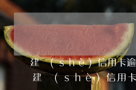 建設(shè)信用卡逾期能不能只還本金(建設(shè)信用卡逾期能不能只還本金不還利息)