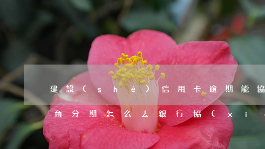 建設(shè)信用卡逾期能協(xié)商分期(怎么去銀行協(xié)商信用卡逾期分期)